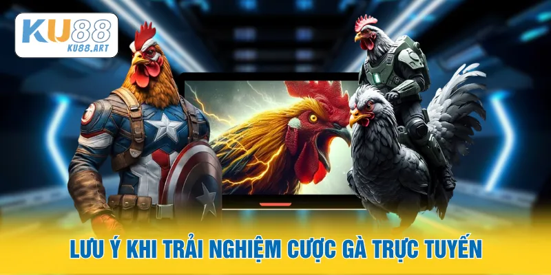 Lưu ý khi trải nghiệm cược gà trực tuyến