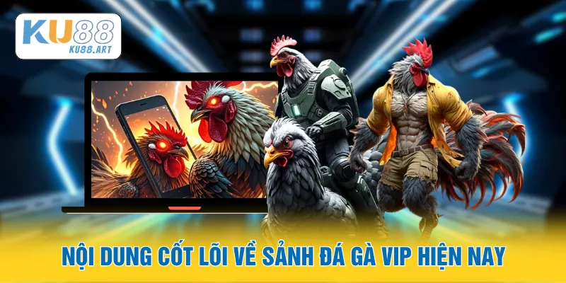 Nội dung cốt lõi về sảnh đá gà Vip hiện nay